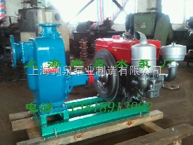 手抬式小型單缸柴油機(jī)泵