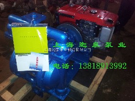 CBY隔膜式柴油機(jī)泵